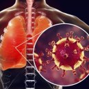 단감상회 이미지