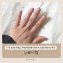 구로 오류동 네일샵 뉴욕네일, 자석네일 4만원 가성비 최고 솔직 내돈내산 후기
