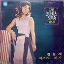 이수미 카카오 검색결과