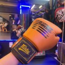 서광안경 | 선릉 울프킥복싱 가격도 착한 직장인 취미 운동