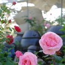 행복한 농원 이미지