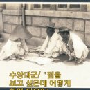 수양대군과 밭 전(田) 자 이야기 이미지