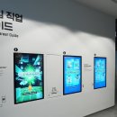 뽀빠이 PC 이미지