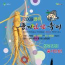 풍기인삼 Daum카페