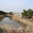 소래습지생태공원(전시관) 이미지