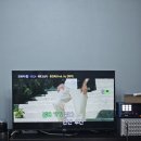 제부도펜션 벚꽃 이미지
