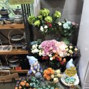 강릉포레스트 이미지