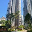 강남-189 이미지