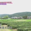 멜론버스(주) 이미지