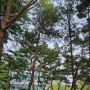 하동우렁추어탕 오금점 이미지