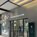 양지약국 | 하남 창고형 약국 파마스퀘어 가격 및 추천상품 애견동반 가능 내돈내산