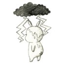 신운미애견미용실 이미지