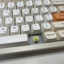 바나나PC | 키크론 K10 Max 저소음 바나나축 1시간 사용후기