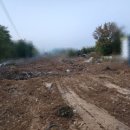 초이원주민부동산공인중개사사무소 이미지