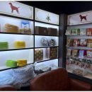 하남강아지 이미지