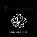 (08/23) 태영송화님의 장모님 삼가 고인의 명복을 빕니다 이미지