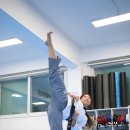 팀태권도&스포츠 이미지