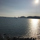 고래PC | [일상]우디의 3월의 일기가 궁금하다면?