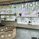 애견갤러리 강아지분양 애견샵 이미지