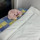 마이수퍼 | 호텔이불 추천 마이라이크 알러지케어 항균 차렵이불 슈퍼싱글 이불 후기