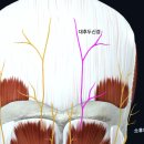 두손정성한의원 이미지
