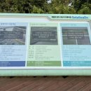 삼호태양광발전소 이미지