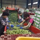 지리산농협 농산물산지유통센터 이미지