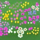 베리심플 이미지