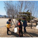 대지초등학교 이미지