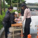 강서농산물도매시장 이미지