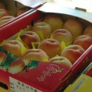 은진초등 이미지