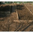 혁이네 농장 이미지