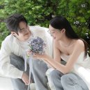 유별나헤어 | Wedding 스튜디오(1) | 그리너리 인물중심 스튜디오 비교/견적 (소피소/노올 knoll/바로오늘이그날/볼라르)