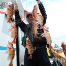 일오삼낚시 이미지