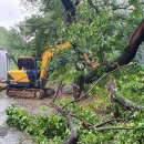 양덕동140 이미지