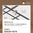 서울예쁜얼굴치과의원 이미지