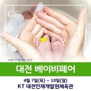 인재개발원 체육관 이미지