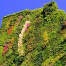 수직의 정원 이미지