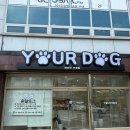 유얼도그