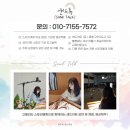 칠곡유치원 | [샌드아트] 경북 구미 칠곡 남율 유치원 샌드아트 공연