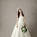 상아배이길 이미지