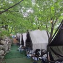 카페쿠시 | [경북청도] 카페쿠시 후기, 에어풀장도 있고 계곡도 있고, 천막 그늘에서 시원하게 즐길 수 있는 곳...