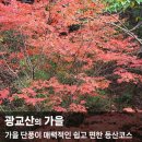 [일요산행]11월24일(일)광교산(단풍구경과 쉬엄쉬엄) 이미지