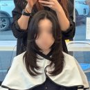 채윤 살롱 이미지