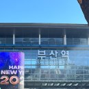 부산 여행 먹방 후기 – 럭키상회 방어회 &amp; 이재모 피자 솔직 리뷰!