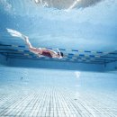 의총로 | 전주프리다이빙! 전주데몬프리다이빙 입문·초급 후기