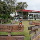Cafe오름Jeju