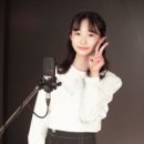 미스동백 이미지