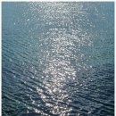 마을산책 | 제주 한림해안도로와 올레길15코스의 시작 마을. 수원리 아침산책 후기.
