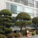 완월동109 이미지